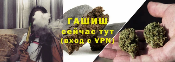 гашик Арсеньев