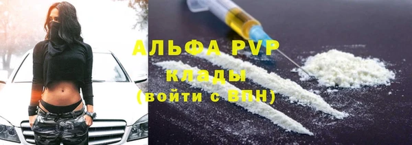 гашик Арсеньев