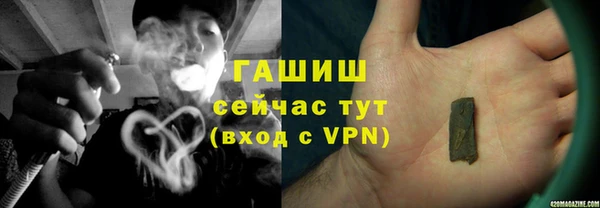 гашик Арсеньев