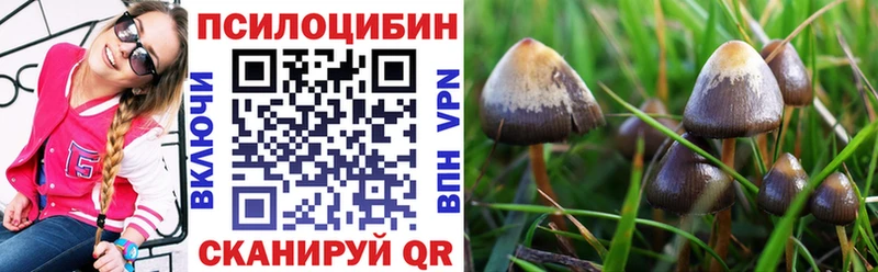 Галлюциногенные грибы прущие грибы  Певек 